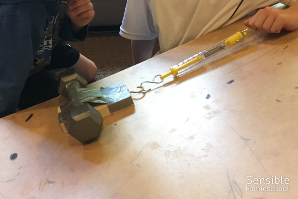 Wood Ramp Science The Sensible Homeschool - 2 Unexpected (But Awesome) Supplies for Your ...